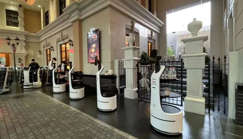 1676950090179201.jpg 1.6-1.jpg